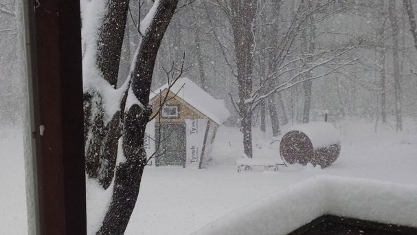wood cabin ann under snow