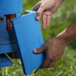 exterior cladding DIY prefab wooden house