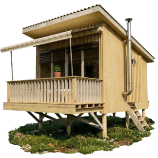 Small House Plans with Shed Roof Louise