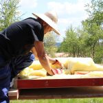 installing wall insulation
